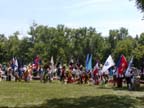 State flag procession