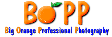 Big Orange Professional Photography