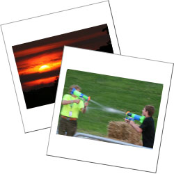 Tuesday Photo Gallery