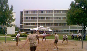 Playing Volleyball